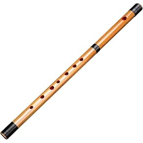 Amazon.co.jp: フルート - 木管楽器: 楽器・音響機器